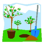 tree planting