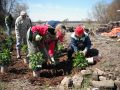 Rain Garden Workshop