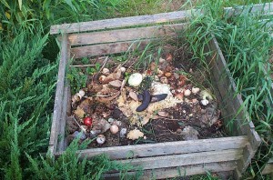 stuff in compost